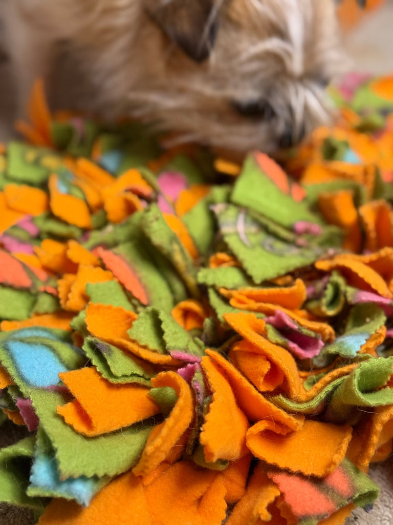 Picking the Best Dog Toys for Small Dogs