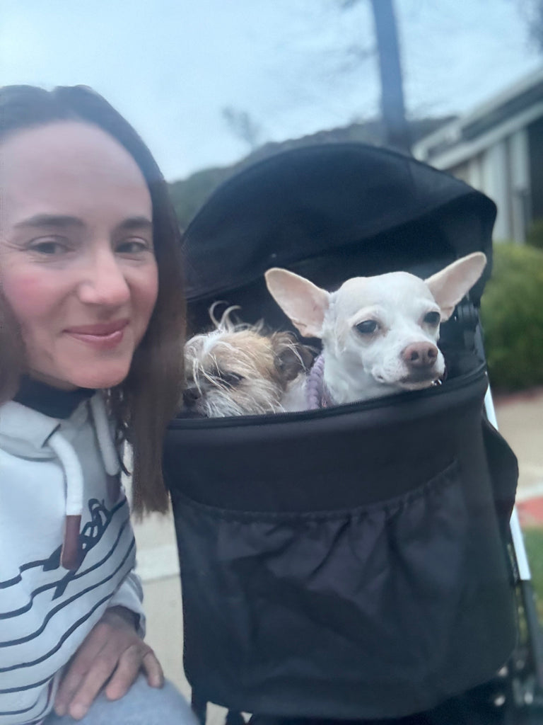 Happy Rides: A Step-by-Step Guide to Getting Your Dog to Love Their Stroller