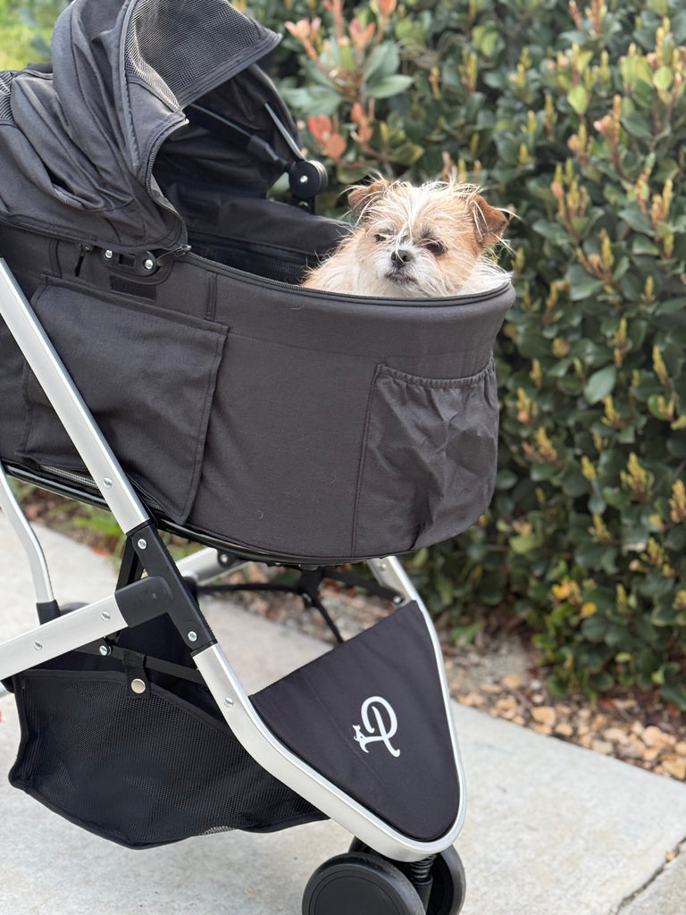 small dog strollers
